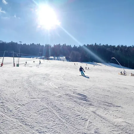Apartment Attersee - Ganzes Ferienhaus, Seeblick, Kamin, Sauna *