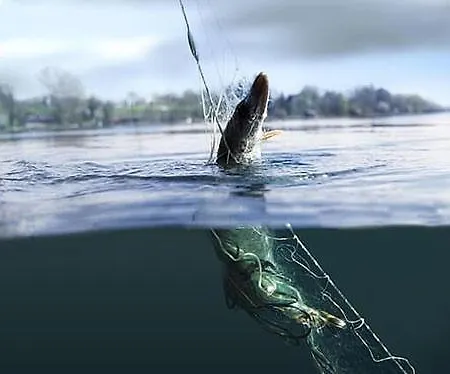 Attersee - Ganzes Ferienhaus, Seeblick, Kamin, Sauna Apartment