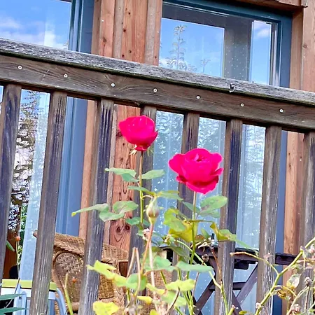 Attersee - Ganzes Ferienhaus, Seeblick, Kamin, Sauna Apartment