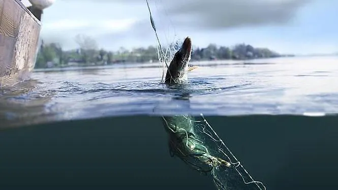 Attersee - Ganzes Ferienhaus, Seeblick, Kamin, Sauna Daire