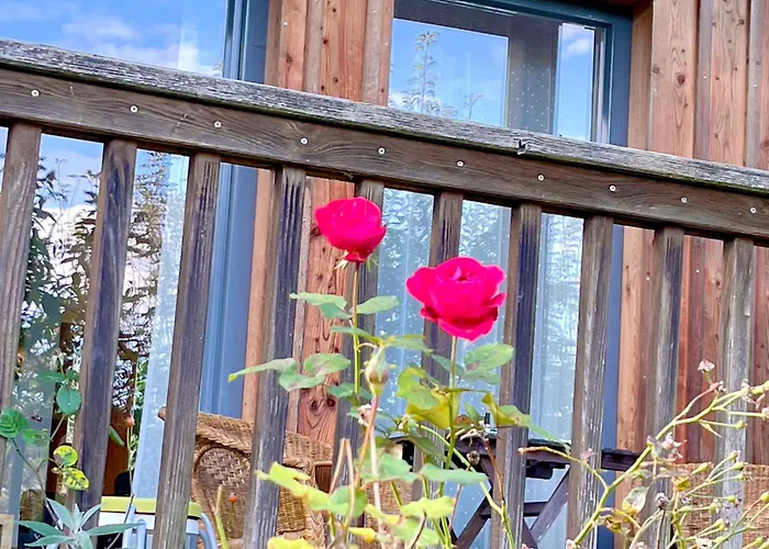 Attersee - Ganzes Ferienhaus, Seeblick, Kamin, Sauna Daire