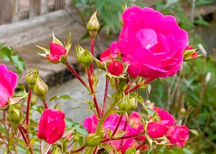 Διαμέρισμα Attersee - Ganzes Ferienhaus, Seeblick, Kamin, Sauna Nussdorf am Attersee